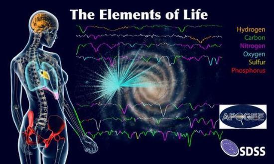 人体大量元素有_人体大量元素有哪些_大量元素母液