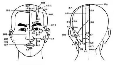 头发中暗藏着许多健康密码