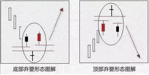 弃婴形态图解