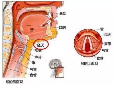 有种喉咙痛能在几分钟内致命,很多人还以为是感冒!