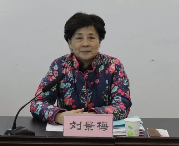 河南省残疾人康复协会刘景梅会长