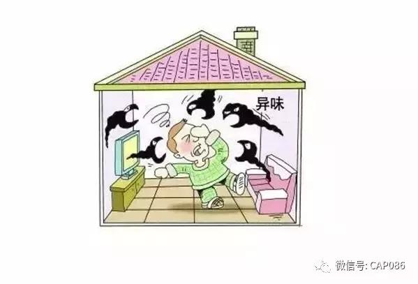 常州装修完家里刺鼻味散不掉？实测6大误区+3招省钱速效法！附龙城花鸟市场绿植清单