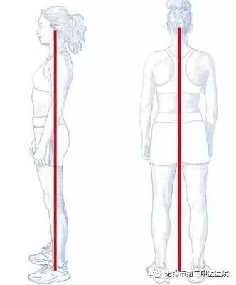 【骨科健康】有正确的坐姿和站姿,才能拥有绝世美姿