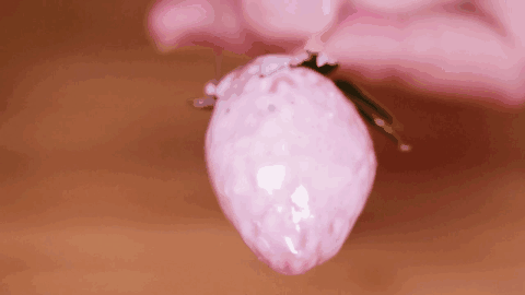 鸡尾酒冻&彩虹棒 草莓的高颜值吃法!