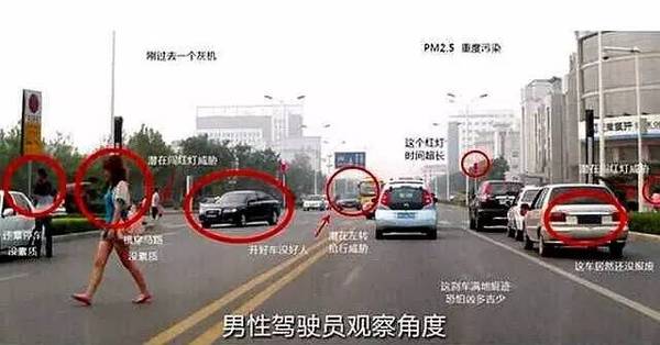 男司机vs女司机眼中的世界-汽车频道-手机搜狐