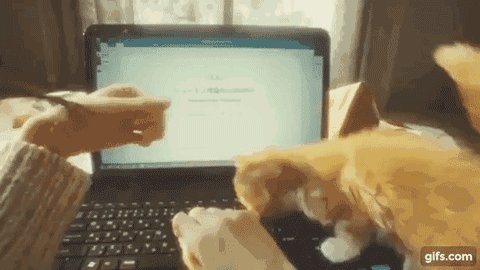 今天小天要介绍一款萌炸天的,逼真到令人发指的游戏——gravityrush2.