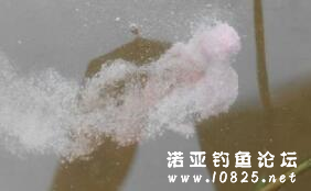 a4hn7c346936220383.jpg