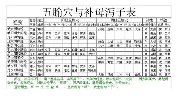 十二经脉流注图补母泻子