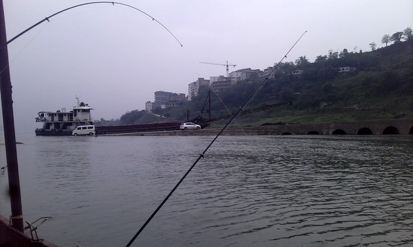 a98rcw3947223817619.jpg