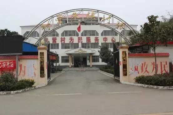 媒体走进邓州张村,十林 感受美丽乡村建设成果