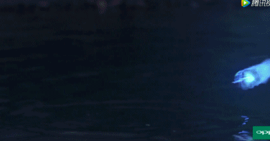 《鬼吹灯》中见人就烧的火瓢虫为什么不攻击陈乔恩?答案是这样.