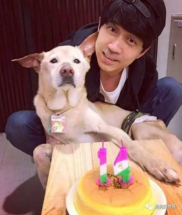 一只狗合火一个女人房子猜成语_看图猜成语(2)