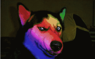 388_240