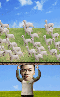 来,玩个心理测试回顾2016!做过都说准