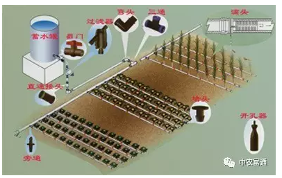 实用型滴灌技术:重力滴灌在日光温室中的应用