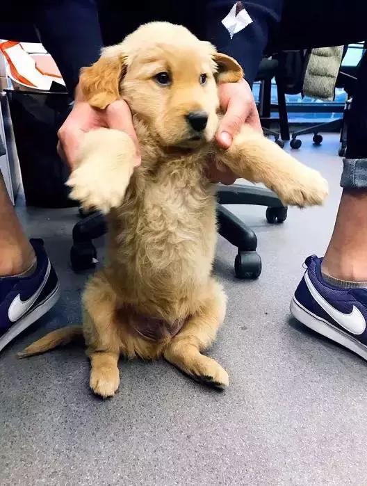 王欣还在牢里,你们就打着快播回归的幌子搞事