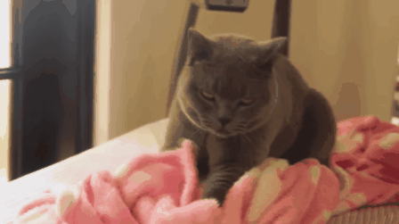 搞笑图片:姜还是老的辣,小伙你露出破绽了