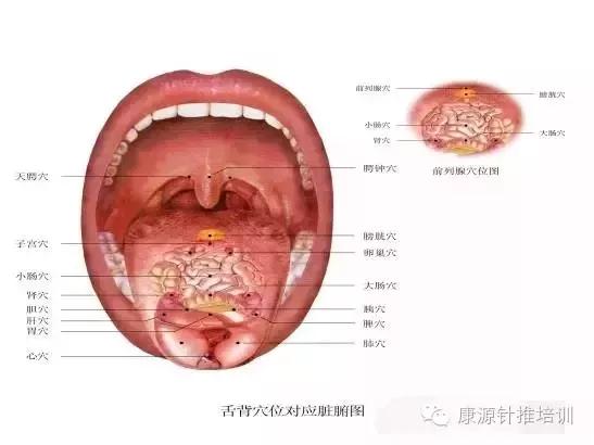 我母亲46岁有梅尼尔症脑梗甲亢颈椎等,发病时头晕心慌