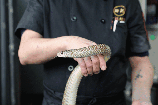鹅掌,瑶柱瓜环,木耳,藕片,花菇,粉葛外,还有3种滋补圣品,分别是鳄鱼龟