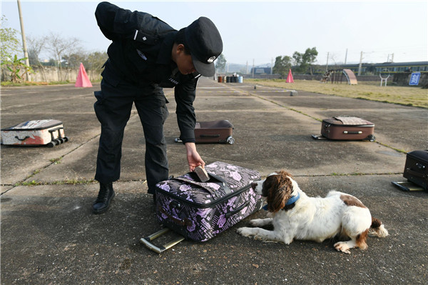 警犬护卫保春运
