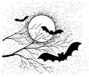 日月和蝙蝠是什么成语_魂啥不舍是什么成语(3)