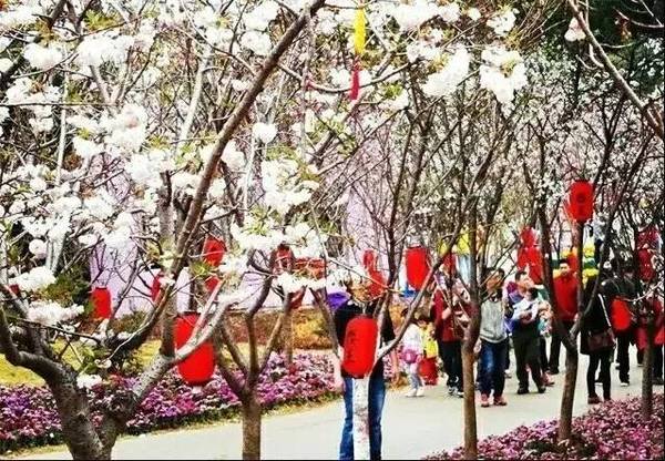 珠海斗门春节游玩攻略,珠海斗门春节游玩攻略发布