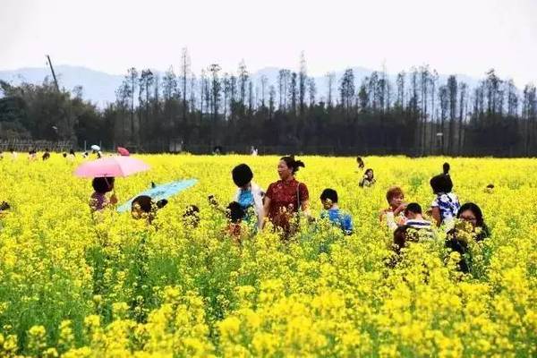 珠海斗门春节游玩攻略,珠海斗门春节游玩攻略发布