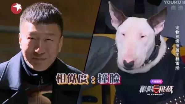(颜王你是最美的,别打我 孙红雷和斗牛梗最相似的部分也是眼睛和脸型