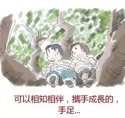 手足相抵,一生情深,时间可以让人丢失一切,可是亲情是永远无法割舍的.
