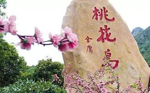 崇左桃花岛景区