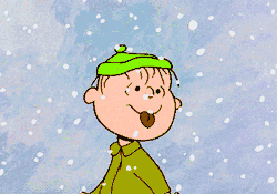 沈阳日报,沈阳网记者 杜梦雅,李海英 编辑:郭金凤