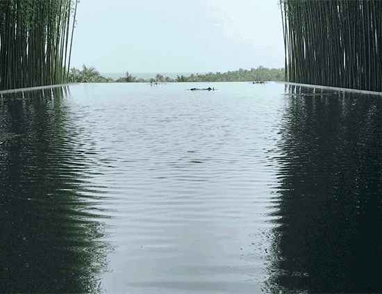 微风吹拂,水面泛起一道道柔和的水波,略有禅意.