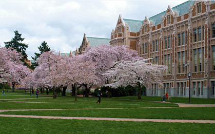 华盛顿大学世界排名_华盛顿大学(3)