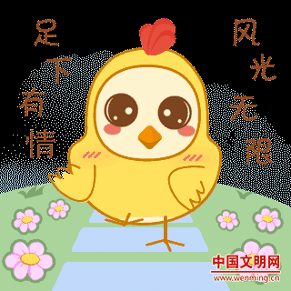 人气爆棚的【文明小鸡】表情动图, 保证让你 迅速成为群聊里的红人
