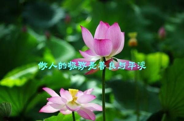 人善人欺天不欺,说的真好