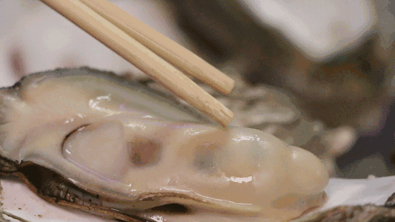 560_315gif 动态图 动图