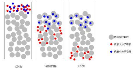 的色谱柱为设备,凝胶颗粒事先经溶剂充分溶胀,并且凝胶内部存在网眼