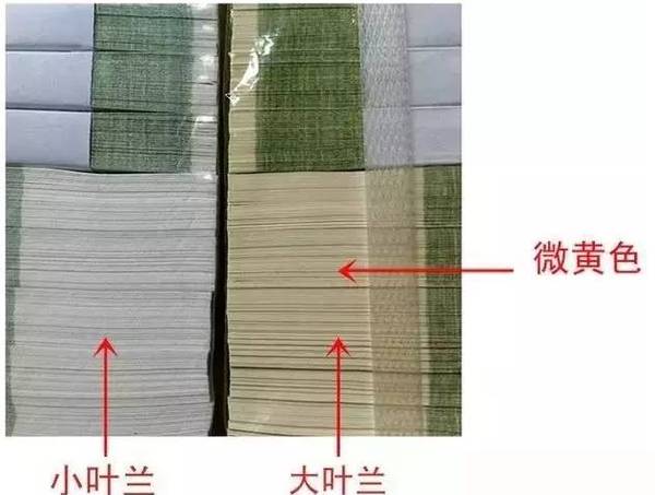 经常花掉的"大叶兰"1元,收藏价值在不断上升!