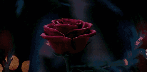 经典童话故事改编的真人版美女与野兽, 光看emma watson 大表哥dan