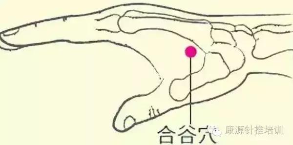 清热止痛穴:合谷