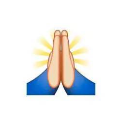 祈祷表情,在 unicode 官方含义是「合掌的人」,而许多歪果仁把这个