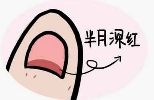 兔上有一个宝盖头猜一个成语_成语故事图片