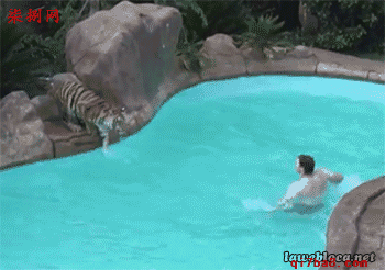 搞笑gif图:45张动态图,搞笑停不下来