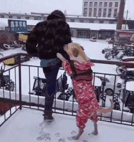 [逗逼]这个姿势好舒服主人请不要停-笑话频道-手机搜狐