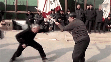 广场大爷武林盛会 二哈:主人,你真是个傻吊!