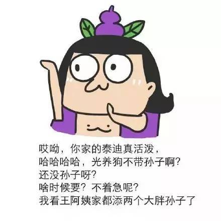 a6zmw56101363033542.jpeg