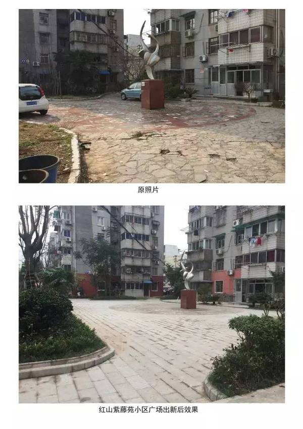 市民"嗨"拍自家整治小区美图 众小区纷纷"晒"照片