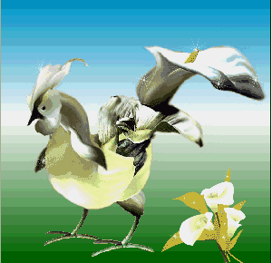 笑话段子 gif动态图 奇事 百科 表情小男孩被大公鸡追着跑栏目每天