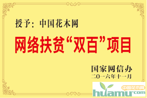 恭祝中国花木网获评网络扶贫"双百"项目