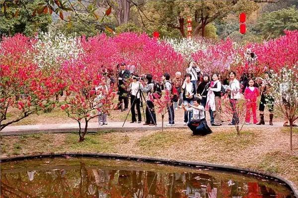 白云山桃花涧,云台花园
